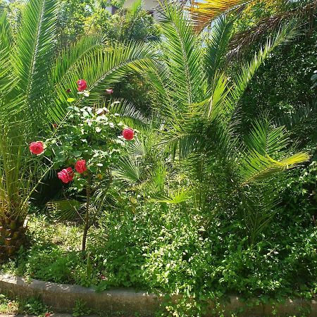 Quiet House Garden Naples-Pompei-Sorrento Trecase Exterior foto