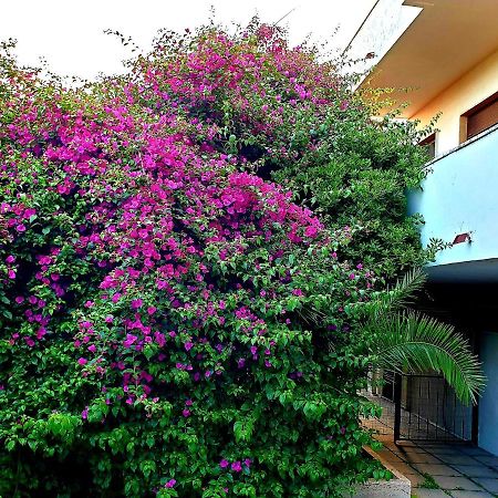 Quiet House Garden Naples-Pompei-Sorrento Trecase Exterior foto
