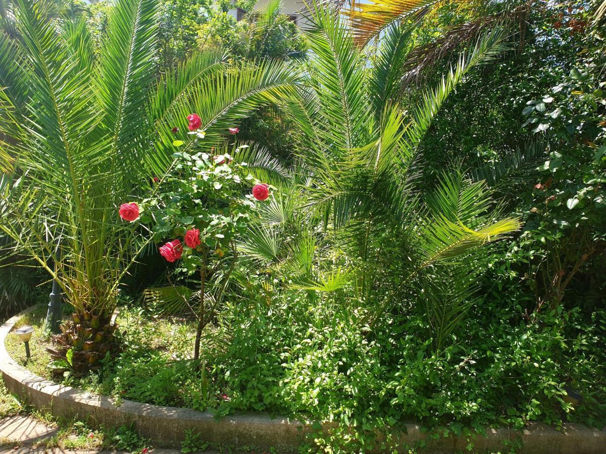 Quiet House Garden Naples-Pompei-Sorrento Trecase Exterior foto