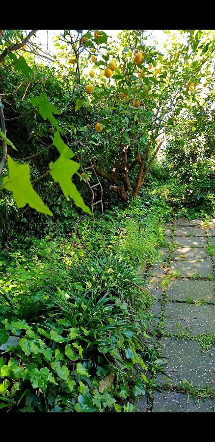 Quiet House Garden Naples-Pompei-Sorrento Trecase Exterior foto