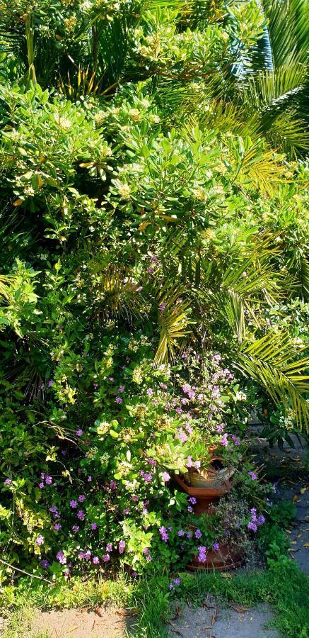 Quiet House Garden Naples-Pompei-Sorrento Trecase Exterior foto