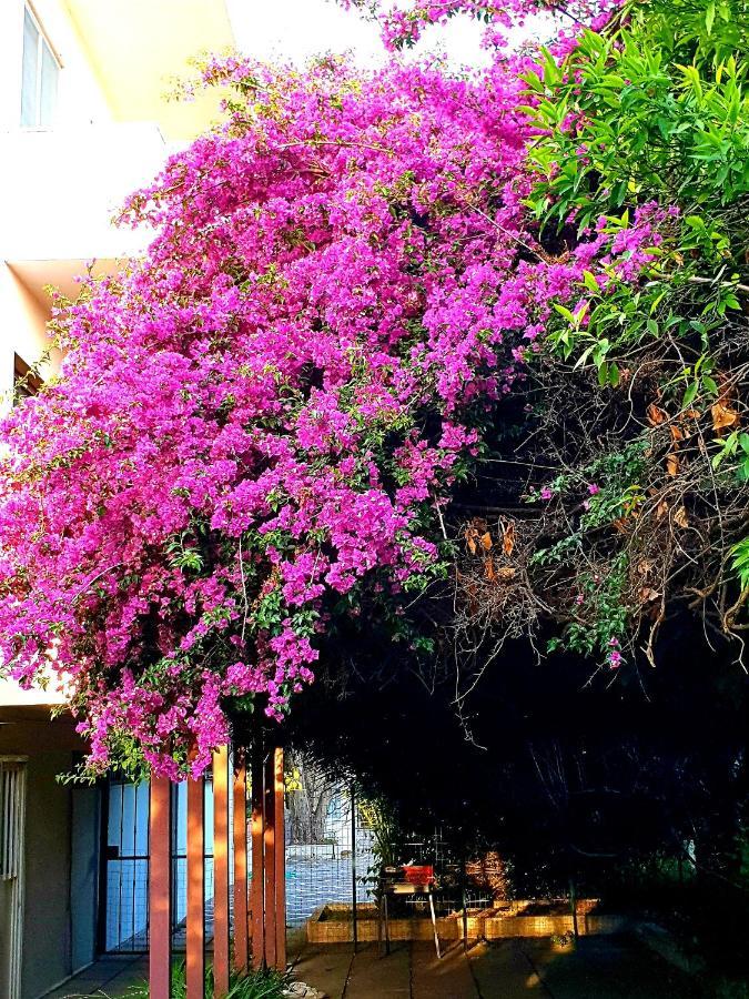 Quiet House Garden Naples-Pompei-Sorrento Trecase Exterior foto